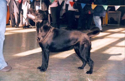 �� ��� �� ��������.